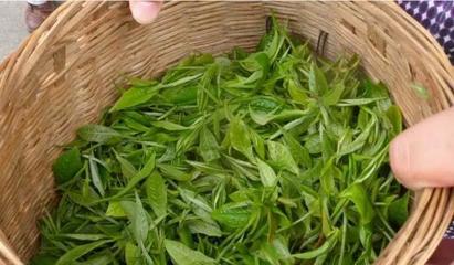 从茶台到舞台 30岁逆袭创业，借力焕呗成就富一代传奇