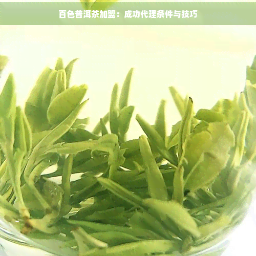 百色普洱茶加盟 成功代理条件与销售技巧全解析