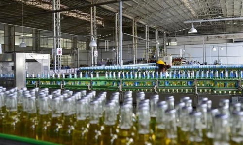 华润雪花 两年关厂18家仍稳坐中国啤酒头把交椅，单品牌全球销量称王