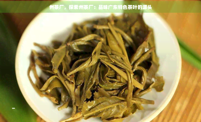 州茶厂 探索广东特色茶叶的源头与代理销售新机遇