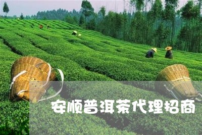 普洱茶市场机遇 安顺普洱茶代理招商深度解析